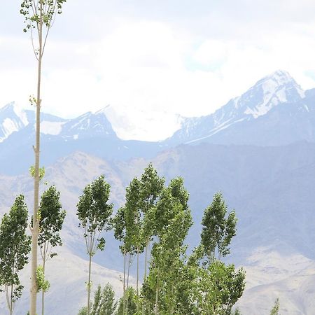 Hotel Kasdar Ladakh Leh Buitenkant foto