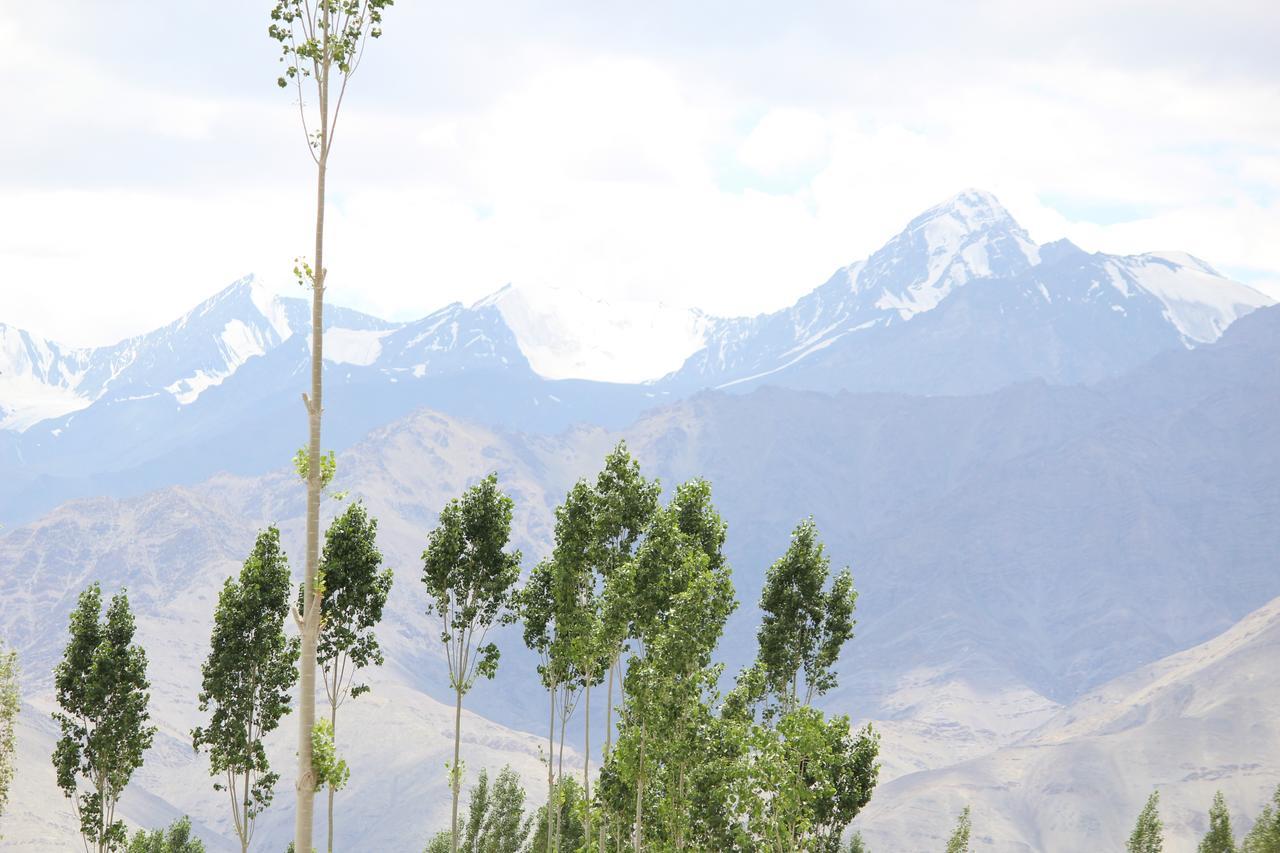 Hotel Kasdar Ladakh Leh Buitenkant foto